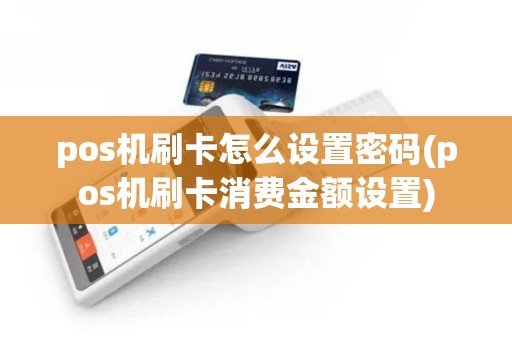 pos机刷卡怎么设置密码(pos机刷卡消费金额设置) pos机刷卡怎么设置密码(pos机刷卡消费金额设置)