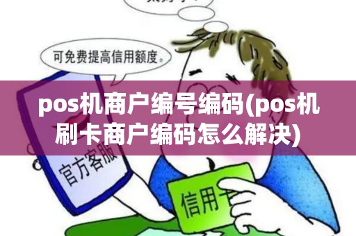 pos机商户编号编码(pos机刷卡商户编码怎么解决)