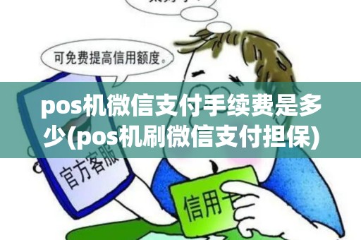 pos机微信支付手续费是多少(pos机刷微信支付担保)