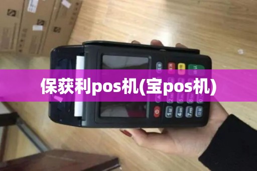 保获利pos机(宝pos机)
