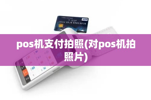 pos机支付拍照(对pos机拍照片)