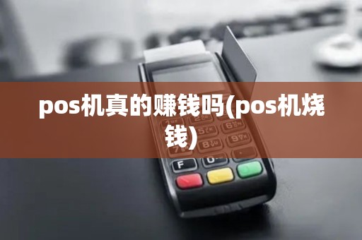 pos机真的赚钱吗(pos机烧钱)