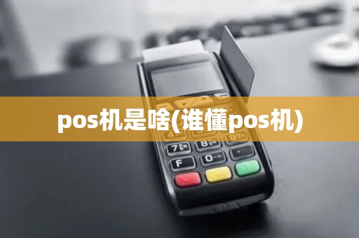pos机是啥(谁懂pos机)
