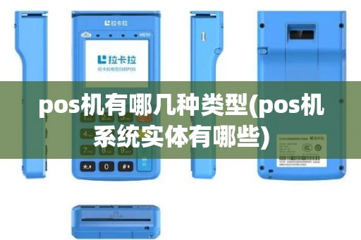 pos机有哪几种类型(pos机系统实体有哪些)