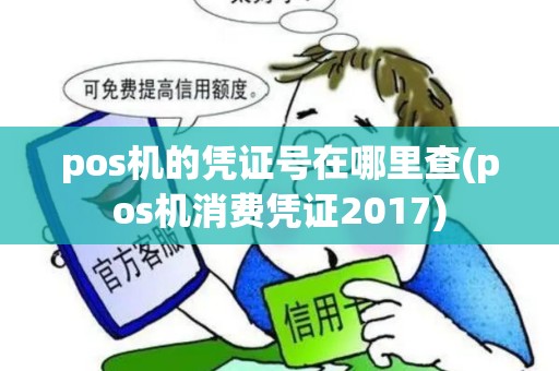 pos机的凭证号在哪里查(pos机消费凭证2017)