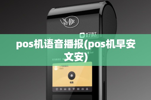 pos机语音播报(pos机早安文安)
