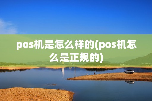 pos机是怎么样的(pos机怎么是正规的)
