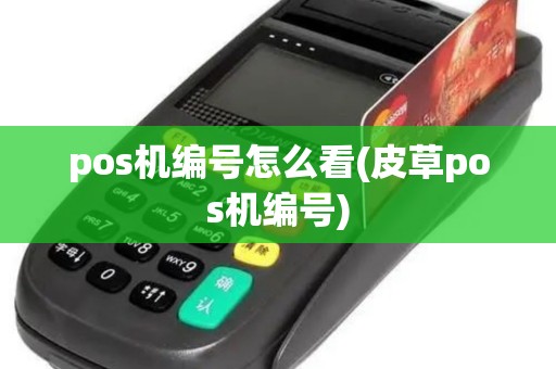 pos机编号怎么看(皮草pos机编号)