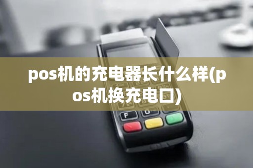 pos机的充电器长什么样(pos机换充电口)