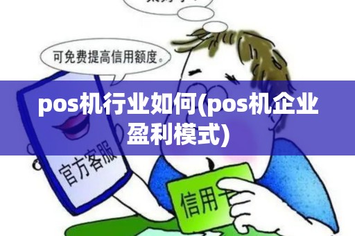 pos机行业如何(pos机企业盈利模式)
