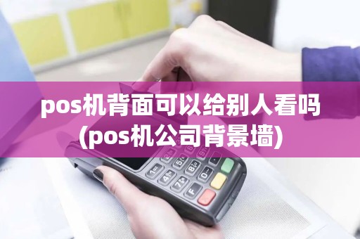 pos机背面可以给别人看吗(pos机公司背景墙)