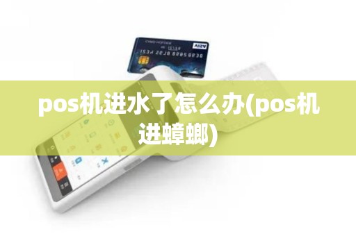 pos机进水了怎么办(pos机进蟑螂)
