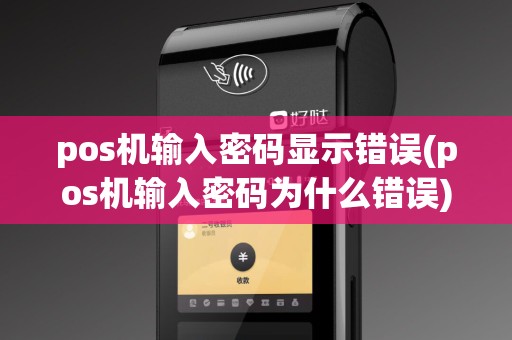 pos机输入密码显示错误(pos机输入密码为什么错误)