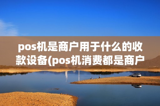 pos机是商户用于什么的收款设备(pos机消费都是商户)