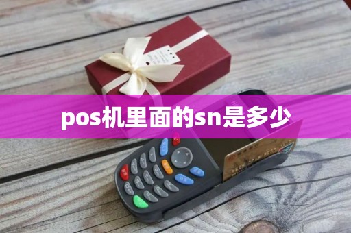pos机里面的sn是多少