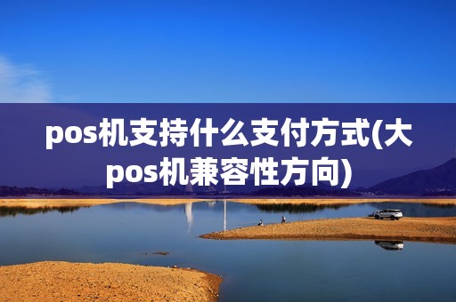 pos机支持什么支付方式(大pos机兼容性方向)