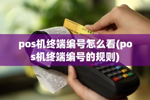pos机终端编号怎么看(pos机终端编号的规则)