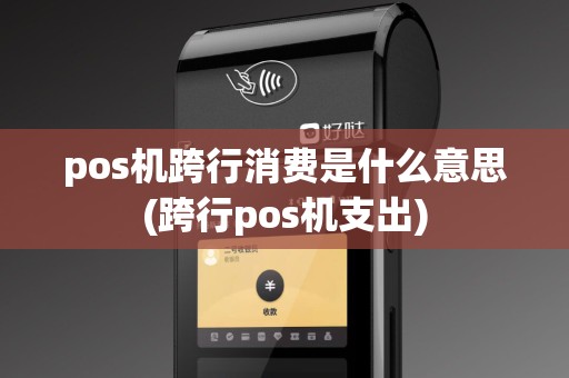 pos机跨行消费是什么意思(跨行pos机支出)