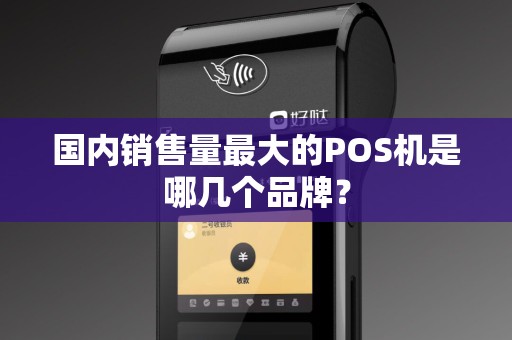 国内销售量最大的POS机是哪几个品牌？