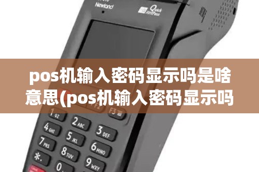pos机输入密码显示吗是啥意思(pos机输入密码显示吗)