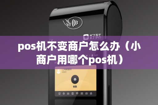 pos机不变商户怎么办（小商户用哪个pos机）