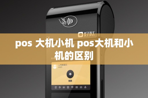 pos 大机小机 pos大机和小机的区别