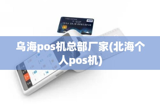 乌海pos机总部厂家(北海个人pos机)