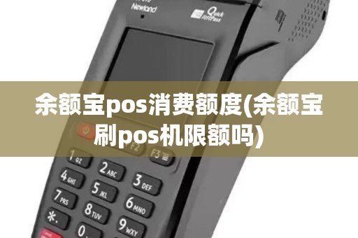 余额宝pos消费额度(余额宝刷pos机限额吗)