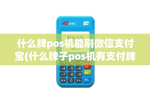 什么牌pos机能刷微信支付宝(什么牌子pos机有支付牌)
