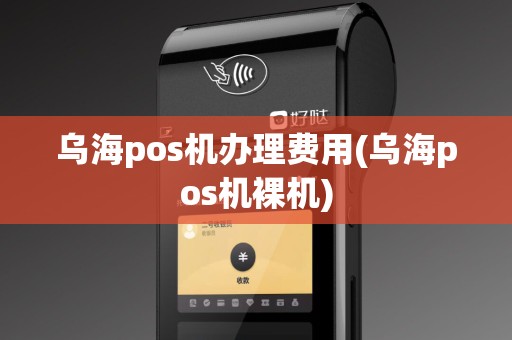 乌海pos机办理费用(乌海pos机裸机)