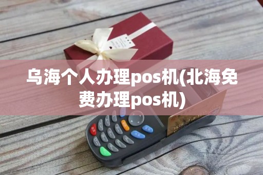 乌海个人办理pos机(北海免费办理pos机)