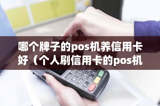 哪个牌子的pos机养信用卡好（个人刷信用卡的pos机哪个好）