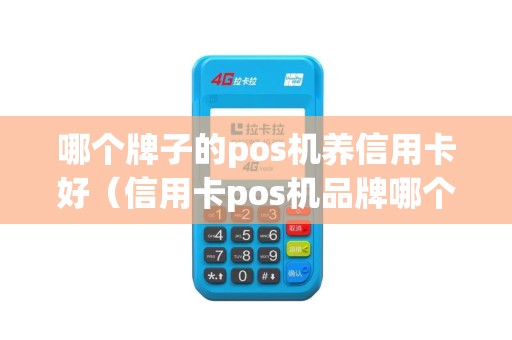 哪个牌子的pos机养信用卡好（信用卡pos机品牌哪个好）
