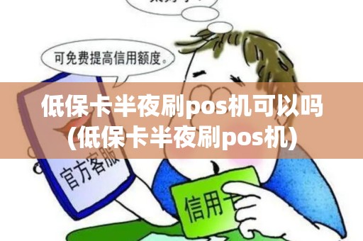 低保卡半夜刷pos机可以吗(低保卡半夜刷pos机)