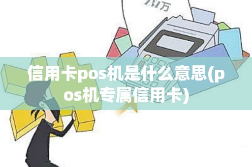 信用卡pos机是什么意思(pos机专属信用卡)