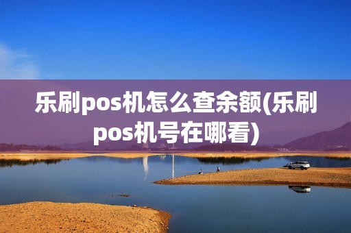 乐刷pos机怎么查余额(乐刷pos机号在哪看)