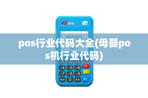 pos行业代码大全(母婴pos机行业代码)