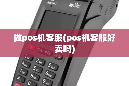 做pos机客服(pos机客服好卖吗)