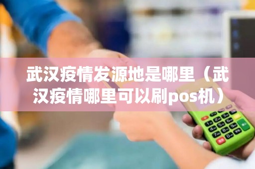 武汉疫情发源地是哪里（武汉疫情哪里可以刷pos机）