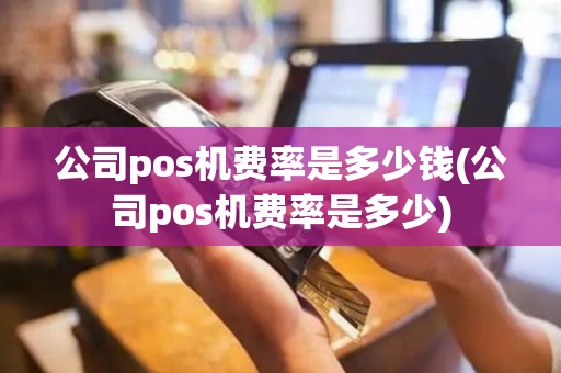 公司pos机费率是多少钱(公司pos机费率是多少)