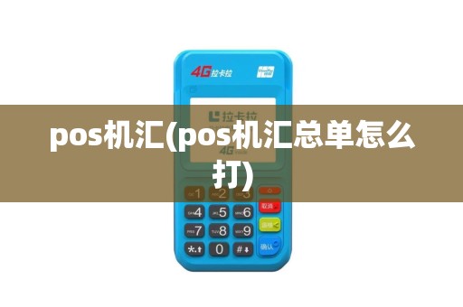 pos机汇(pos机汇总单怎么打)